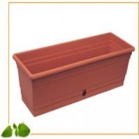 item1  Hover